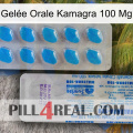 Gelée Orale Kamagra 100 Mg new15